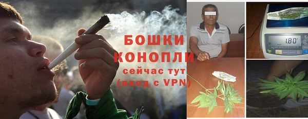 винт Протвино